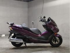 Honda FORZA Z 2008