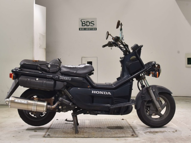 Honda PS250 BIG RUCKUS 2006