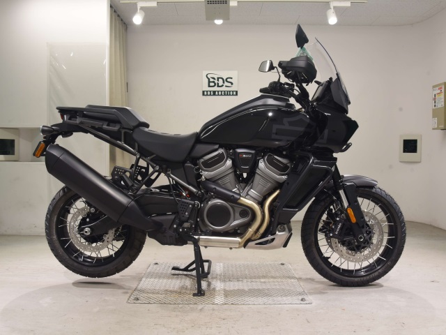HD PAN AMERICA1250 S 2024
