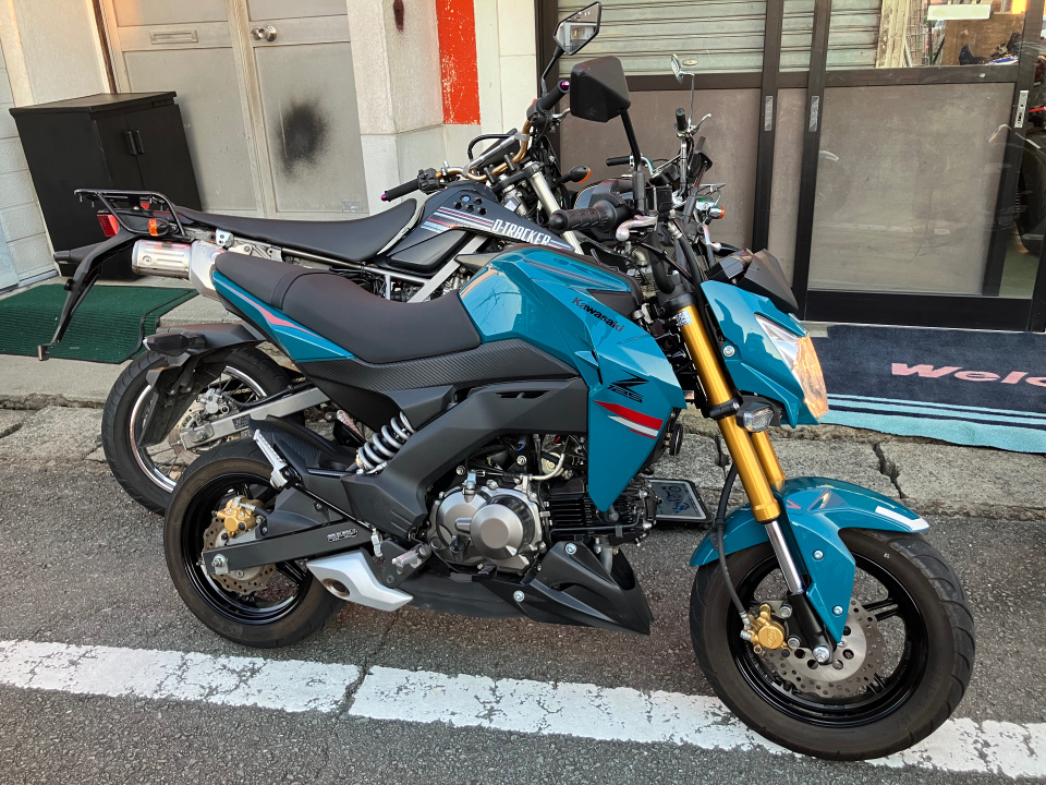 Kawasaki Z125 PRO 2021