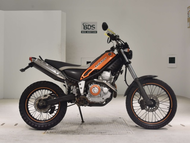 Yamaha TRICKER 2005