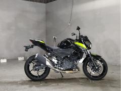 Kawasaki Z250 2022
