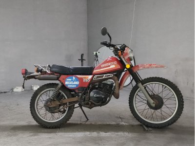 Suzuki TS250
