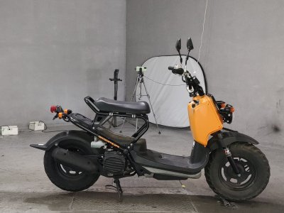 Honda ZOOMER 2012