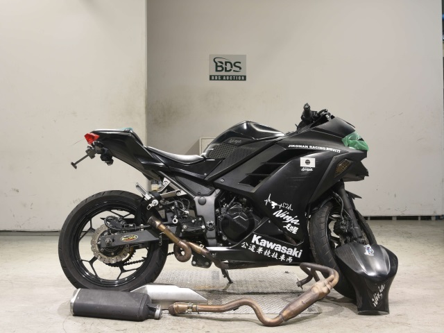 Kawasaki NINJA250 2017