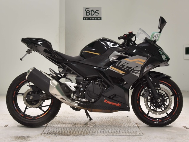 Kawasaki NINJA250 2020