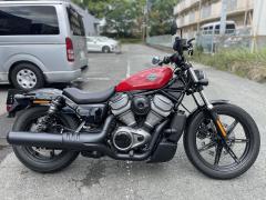 HD RH975 NIGHT STAR 2023