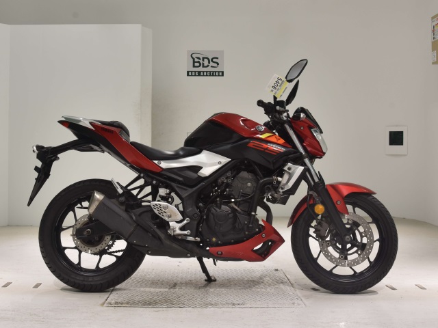 Yamaha MT-25 2016
