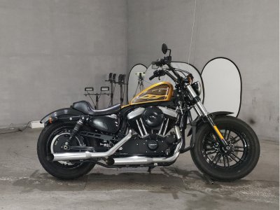 HD SPORTSTER FORTY-EIGHT XL1200X 2016