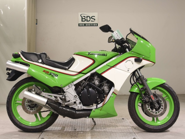 Kawasaki KR250S 1985