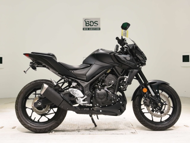 Yamaha MT-25 2022