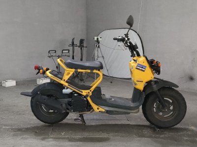 Honda ZOOMER 2007