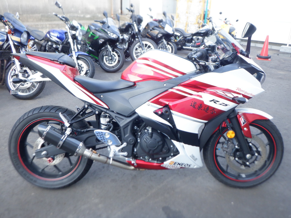 Yamaha YZF-R25 2015