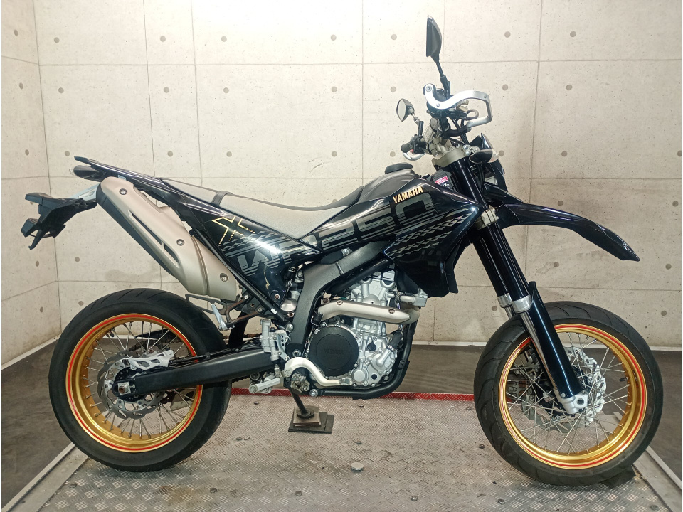 Yamaha WR250X 2010