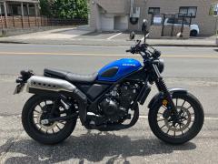 Honda CL500 2023
