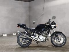 Suzuki GOOSE250 1992