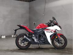 Yamaha YZF-R3 2015