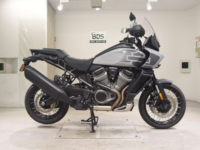 HD PAN AMERICA1250 S 2024