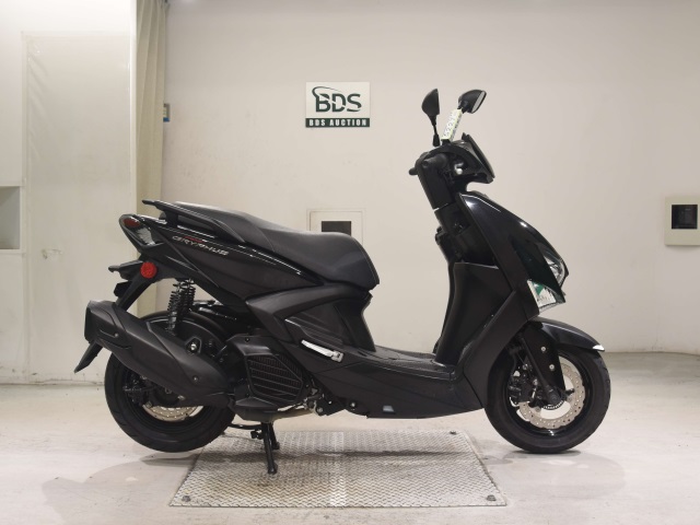 Yamaha CYGNUS GRYPHUS