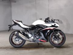 Suzuki GSX250R