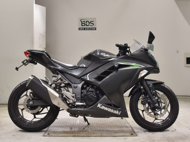 Kawasaki NINJA250 2016