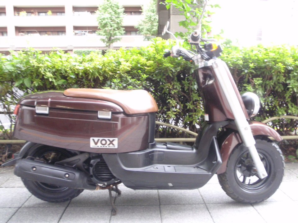 Yamaha VOX 2010