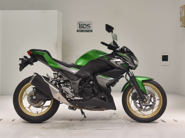 Kawasaki Z250A 2017