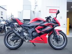 Kawasaki NINJA250 2015