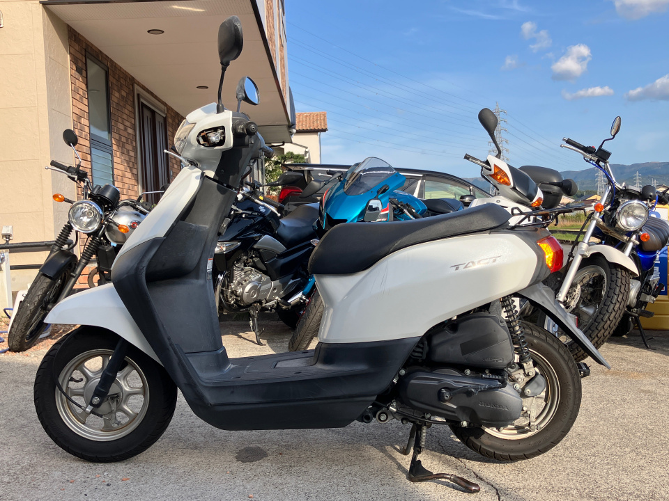 Honda TACT125 2019