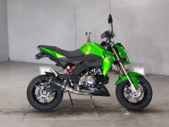 Kawasaki Z125 PRO 2016