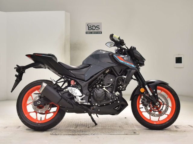 Yamaha MT-25 2021