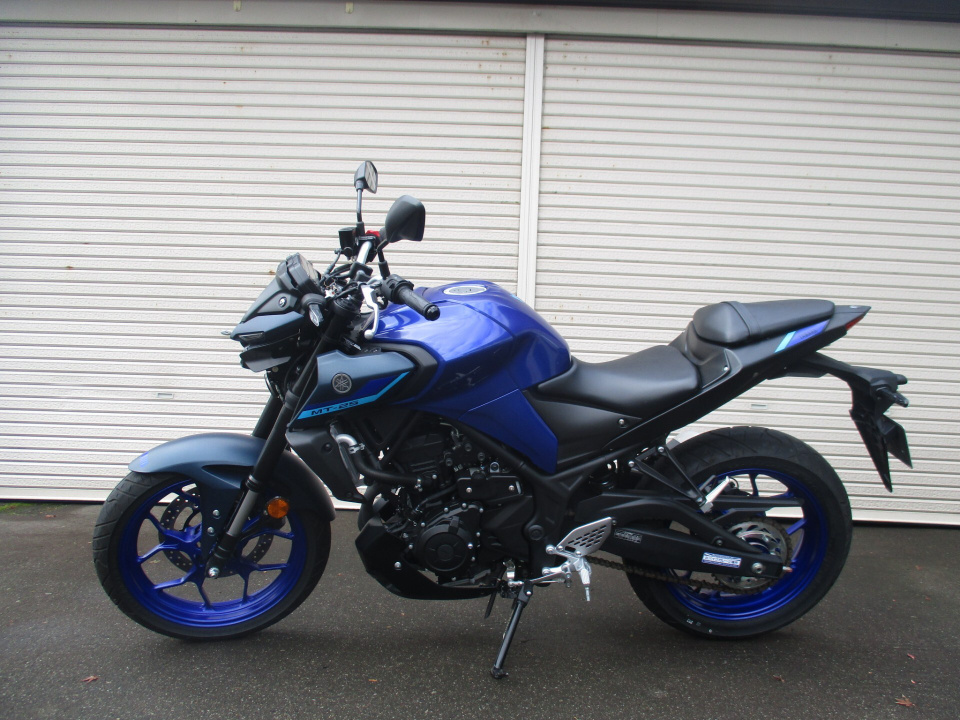 Yamaha MT-25 2022