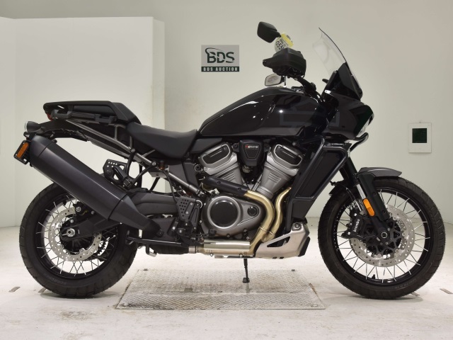 HD PAN AMERICA1250 S 2024