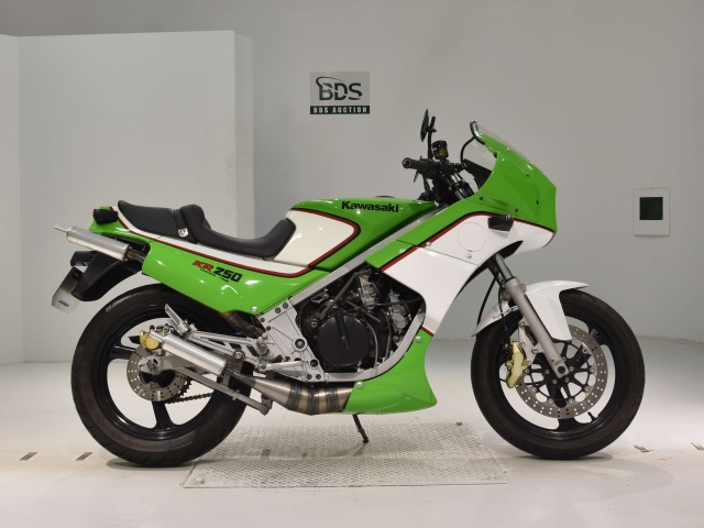 Kawasaki KR250