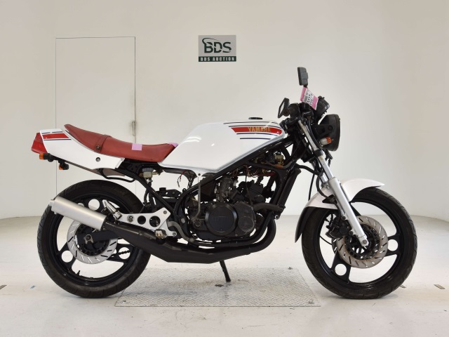 Yamaha RZ250R 1984