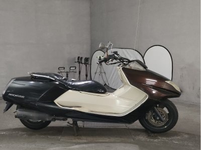 Yamaha MAGZAM 2007