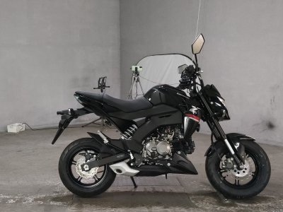 Kawasaki Z125 PRO 2019
