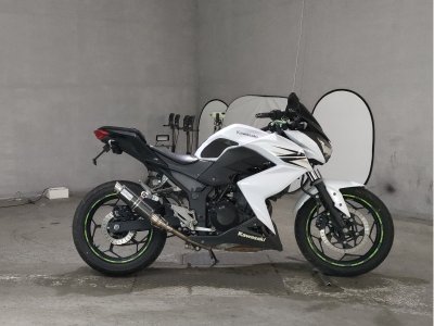 Kawasaki Z250 2013