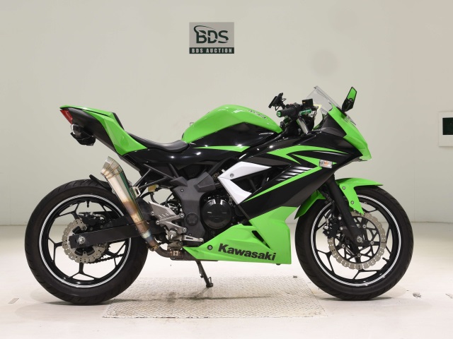 Kawasaki NINJA250 2015