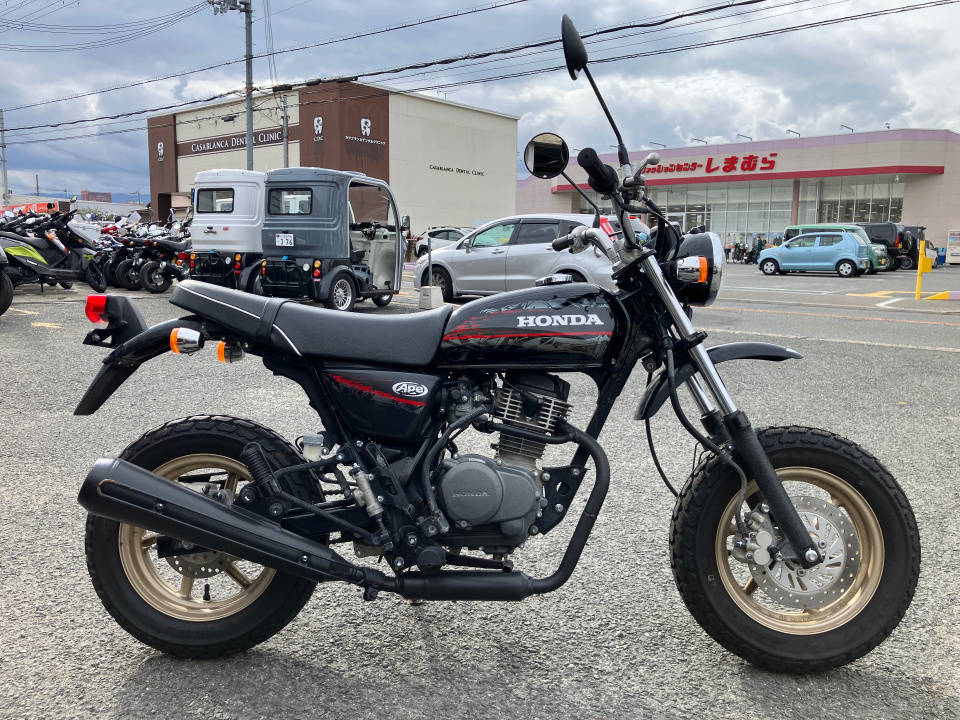 Honda APE100 TYPE D 2010