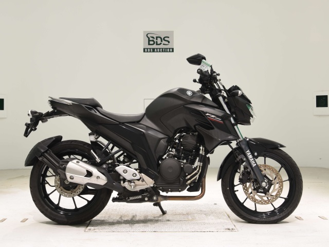 Yamaha FZ25 2019
