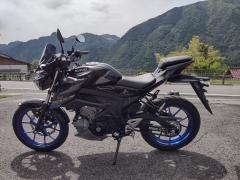 Suzuki GSX-S125