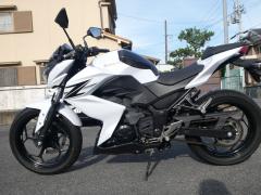 Kawasaki Z250 2013