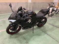 Kawasaki NINJA250 2019