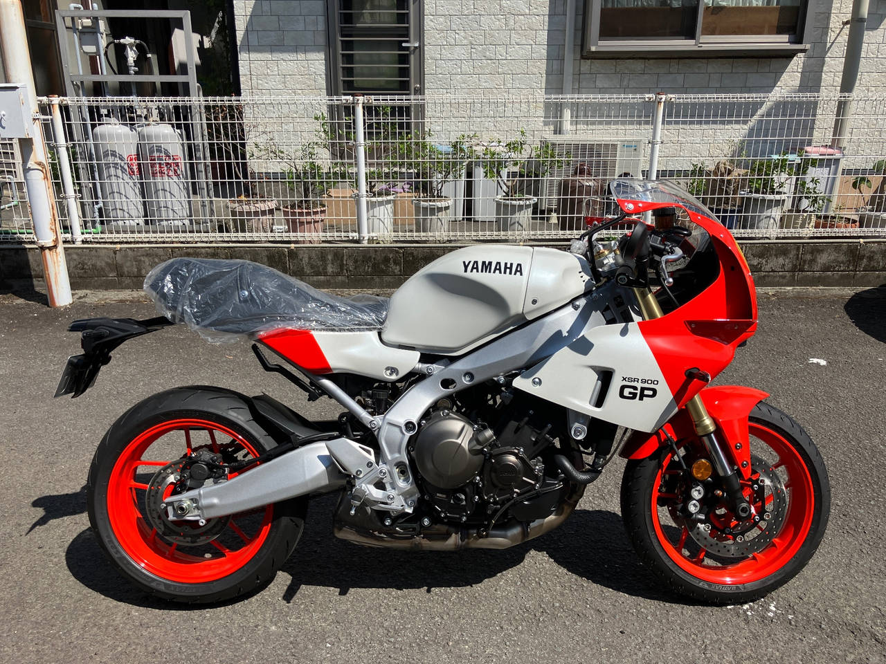 Yamaha xsr900 gp 2024