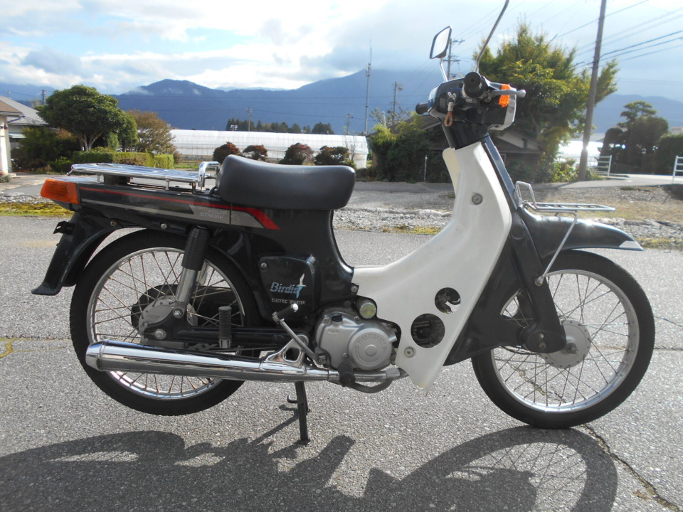 Suzuki BIRDIE80