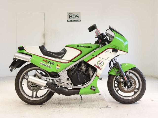 Kawasaki KR250