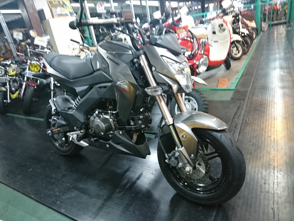 Kawasaki Z125 PRO 2017