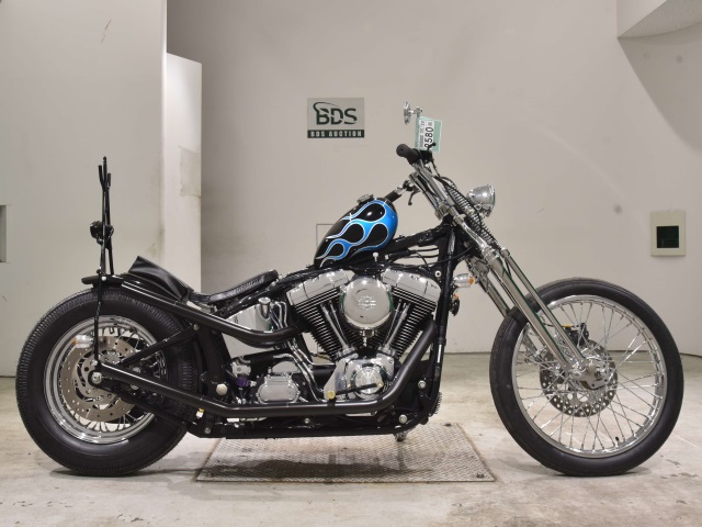 HD HERITAGE FLSTC1450 2005