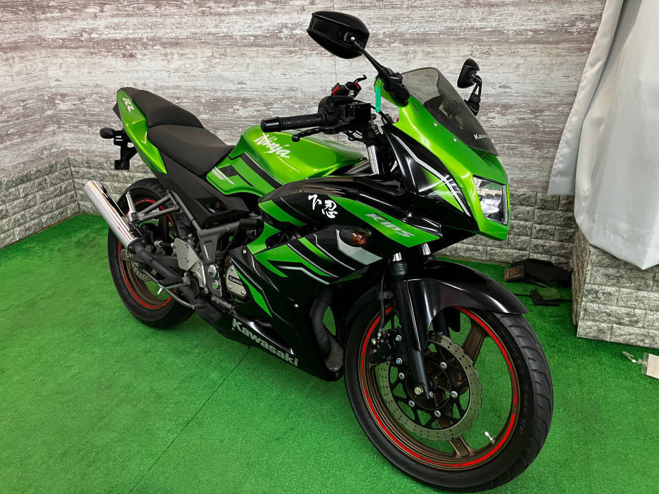 Kawasaki NINJA150RR 2015